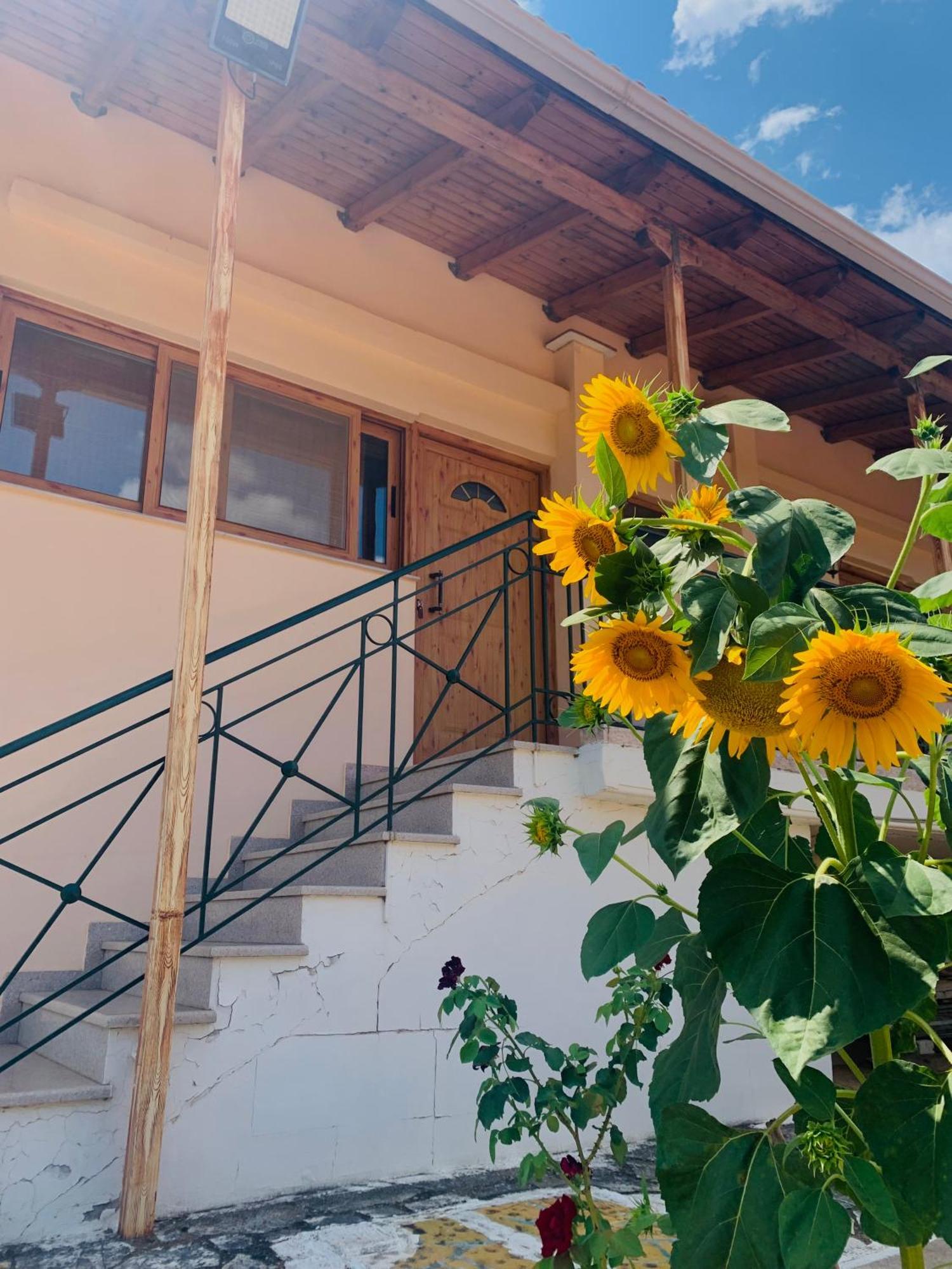 Bokas Exotic House Apartamento Tragana  Exterior foto